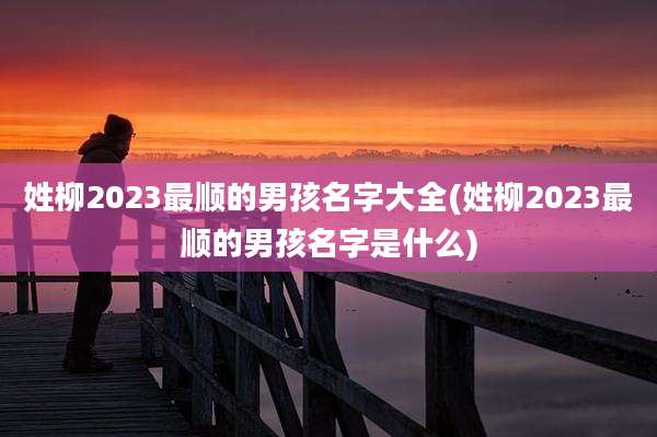 姓柳2023最顺的男孩名字大全(姓柳2023最顺的男孩名字是什么)
