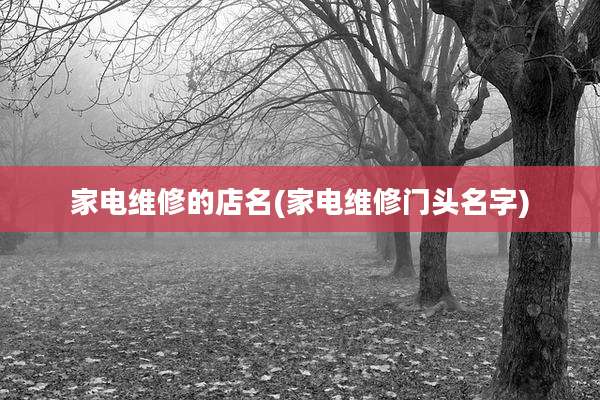 家电维修的店名(家电维修门头名字)