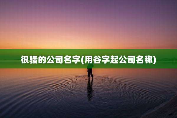 很骚的公司名字(用谷字起公司名称)