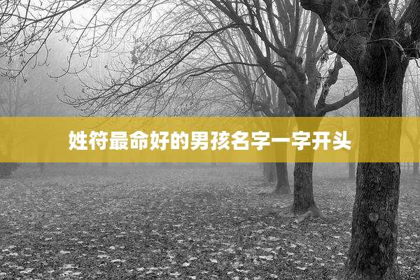 姓符最命好的男孩名字一字开头
