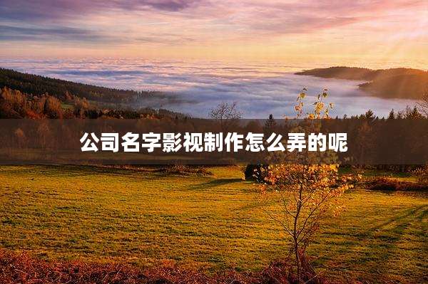 公司名字影视制作怎么弄的呢