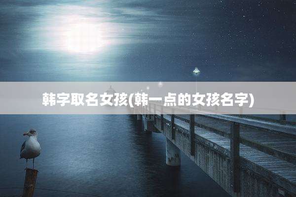 韩字取名女孩(韩一点的女孩名字)
