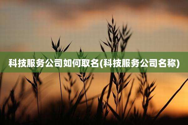科技服务公司如何取名(科技服务公司名称)