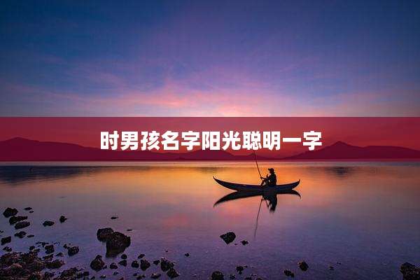 时男孩名字阳光聪明一字