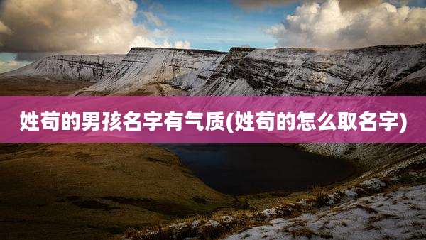 姓苟的男孩名字有气质(姓苟的怎么取名字)