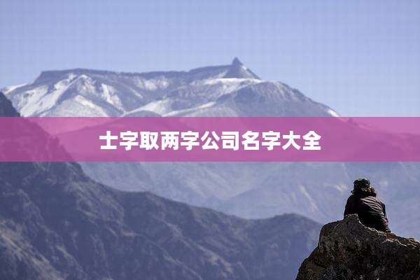 士字取两字公司名字大全