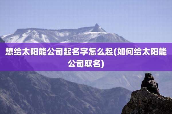想给太阳能公司起名字怎么起(如何给太阳能公司取名)