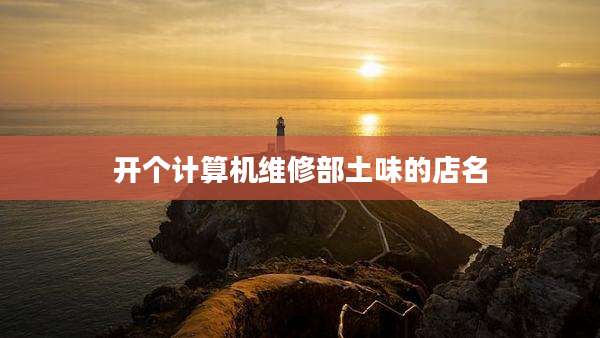开个计算机维修部土味的店名