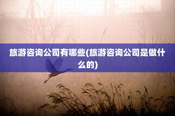 旅游咨询公司有哪些(旅游咨询公司是做什么的)