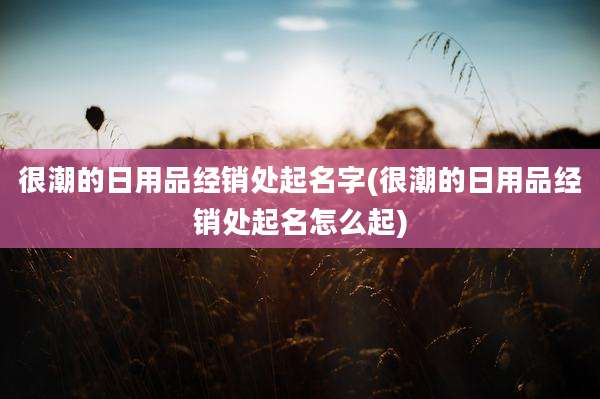 很潮的日用品经销处起名字(很潮的日用品经销处起名怎么起)