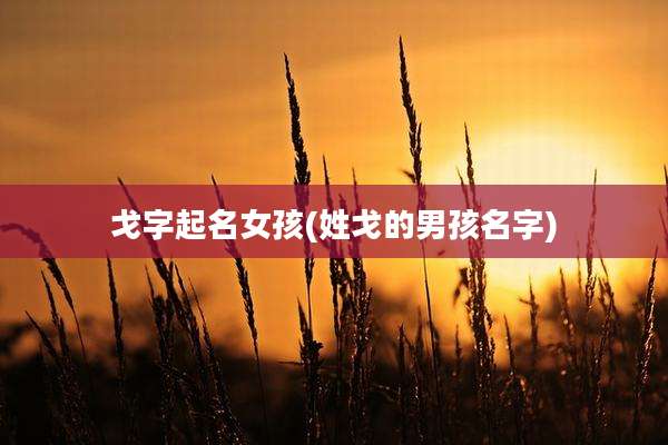 戈字起名女孩(姓戈的男孩名字)