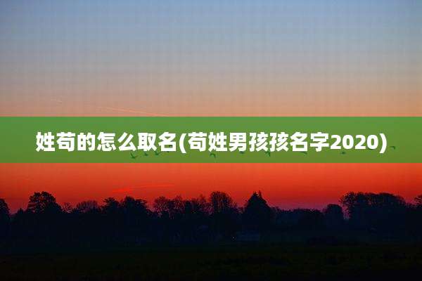 姓苟的怎么取名(苟姓男孩孩名字2020)