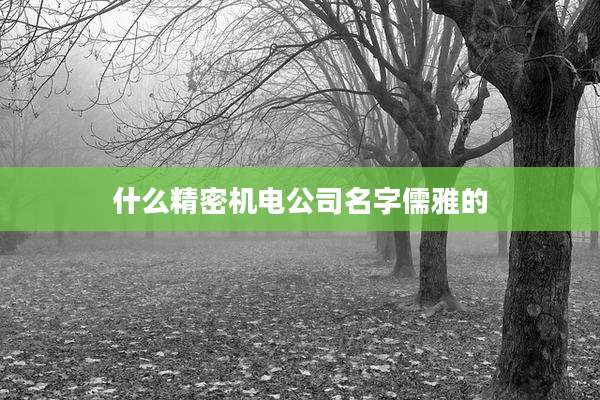 什么精密机电公司名字儒雅的