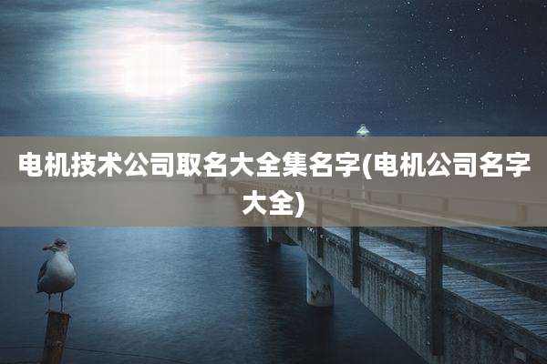 电机技术公司取名大全集名字(电机公司名字大全)
