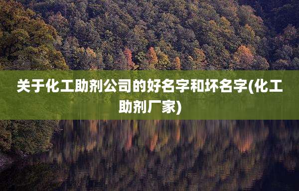 关于化工助剂公司的好名字和坏名字(化工助剂厂家)