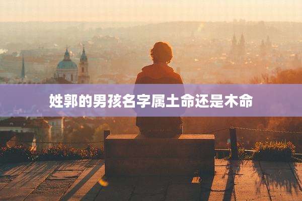 姓郭的男孩名字属土命还是木命