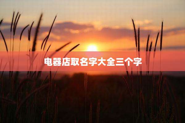 电器店取名字大全三个字