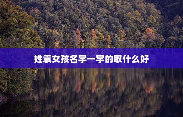 姓袁女孩名字一字的取什么好