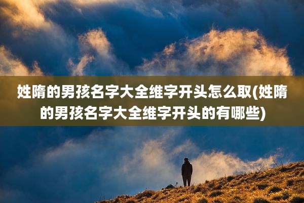 姓隋的男孩名字大全维字开头怎么取(姓隋的男孩名字大全维字开头的有哪些)