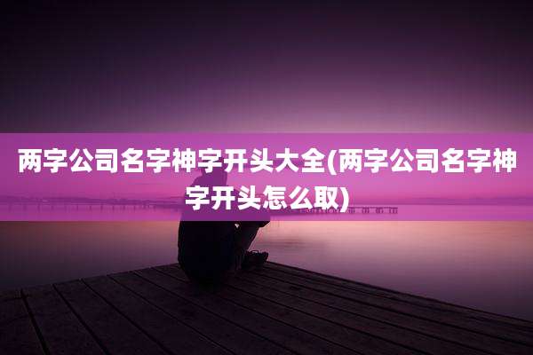两字公司名字神字开头大全(两字公司名字神字开头怎么取)