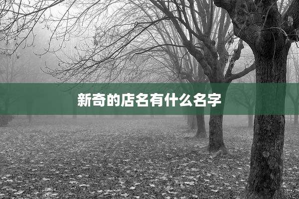 新奇的店名有什么名字