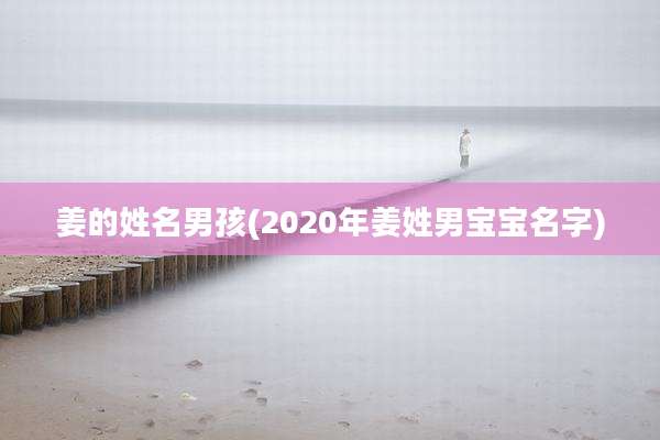 姜的姓名男孩(2020年姜姓男宝宝名字)