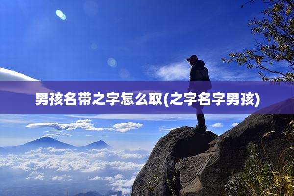 男孩名带之字怎么取(之字名字男孩)