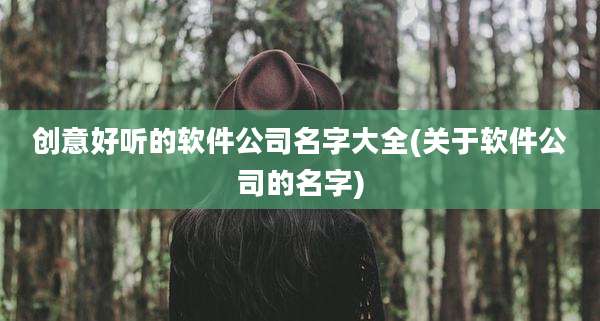 创意好听的软件公司名字大全(关于软件公司的名字)