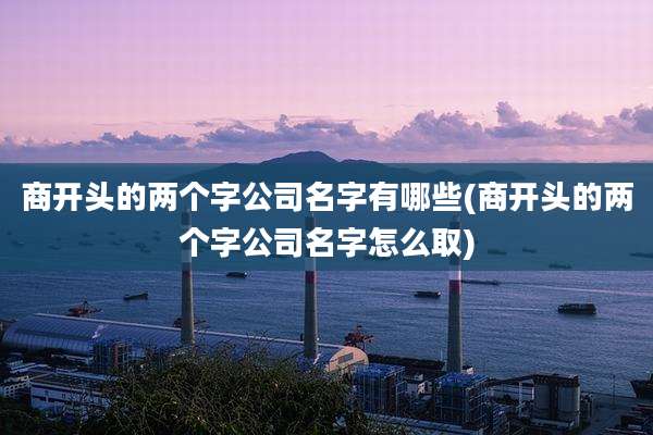 商开头的两个字公司名字有哪些(商开头的两个字公司名字怎么取)