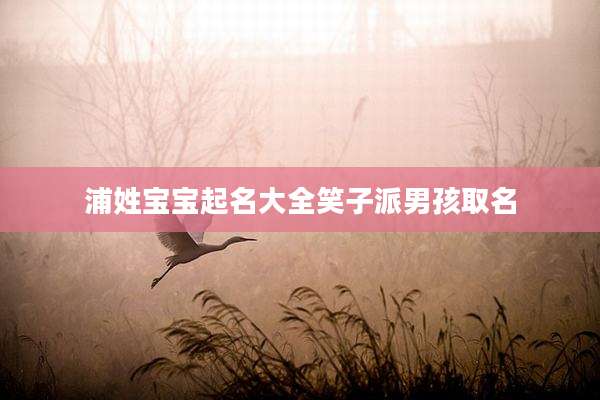 浦姓宝宝起名大全笑子派男孩取名