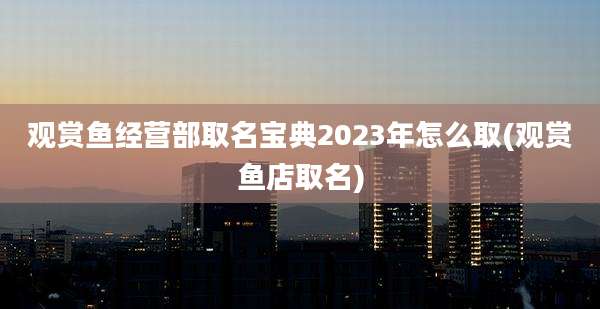 观赏鱼经营部取名宝典2023年怎么取(观赏鱼店取名)