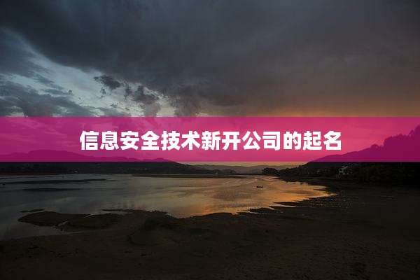 信息安全技术新开公司的起名