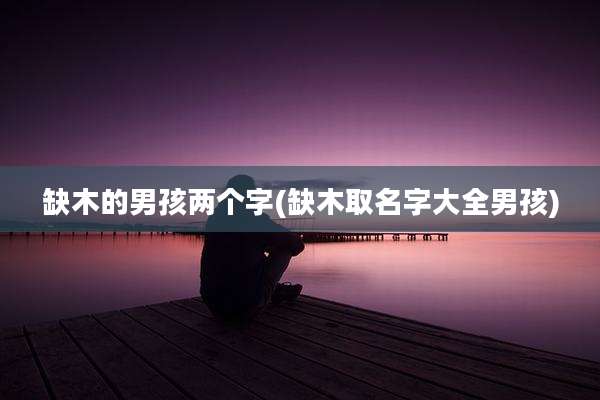 缺木的男孩两个字(缺木取名字大全男孩)