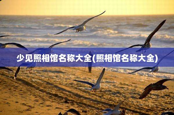 少见照相馆名称大全(照相馆名称大全)