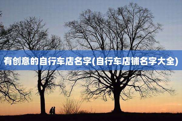 有创意的自行车店名字(自行车店铺名字大全)