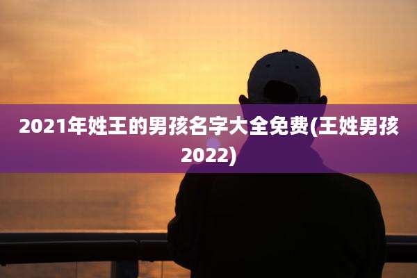 2021年姓王的男孩名字大全免费(王姓男孩2022)