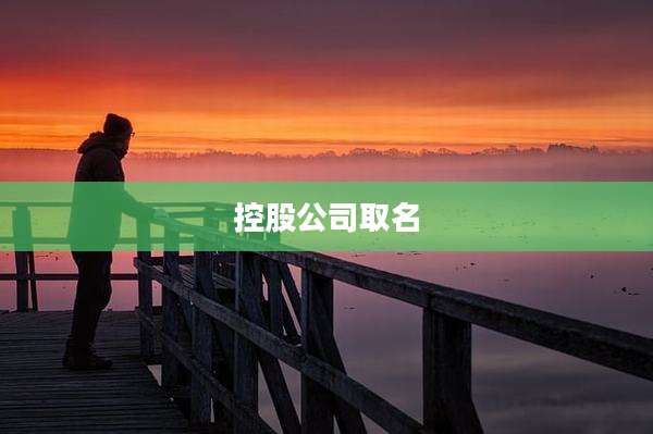 控股公司取名