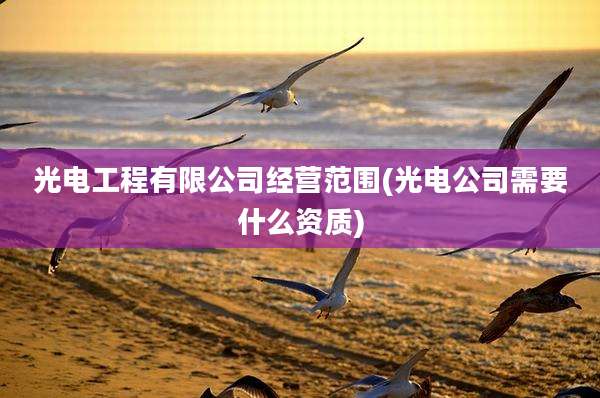 光电工程有限公司经营范围(光电公司需要什么资质)