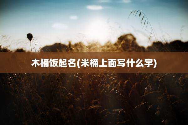 木桶饭起名(米桶上面写什么字)