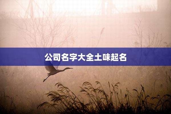 公司名字大全土味起名