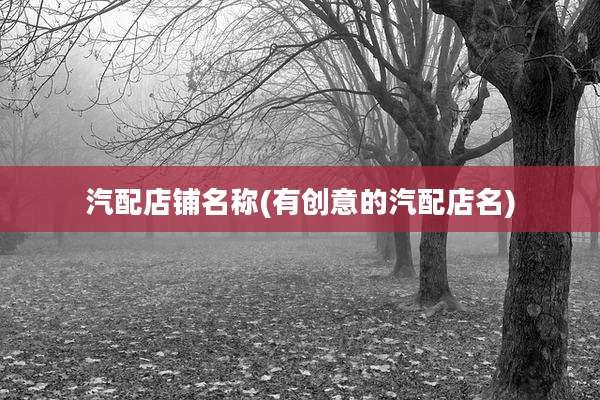 汽配店铺名称(有创意的汽配店名)