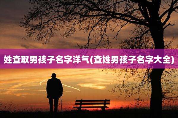 姓查取男孩子名字洋气(查姓男孩子名字大全)