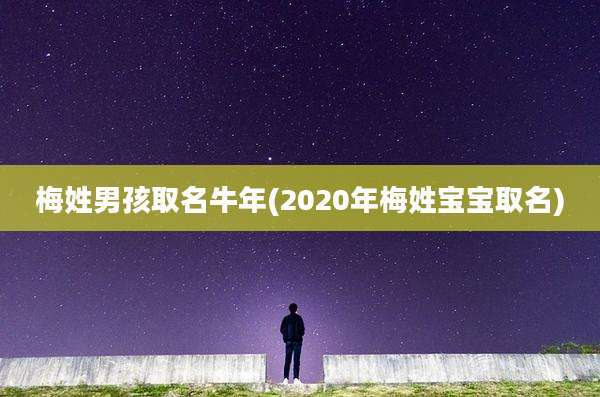 梅姓男孩取名牛年(2020年梅姓宝宝取名)