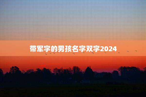 带军字的男孩名字双字2024