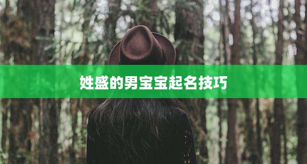 姓盛的男宝宝起名技巧