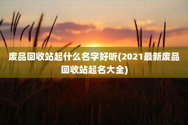 废品回收站起什么名字好听(2021最新废品回收站起名大全)