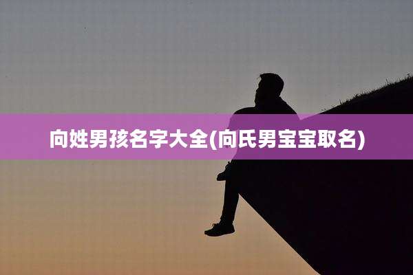 向姓男孩名字大全(向氏男宝宝取名)
