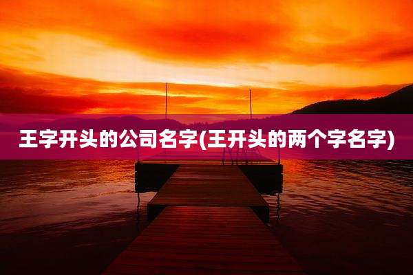 王字开头的公司名字(王开头的两个字名字)