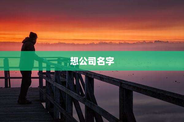 想公司名字
