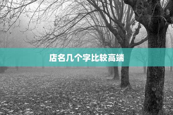 店名几个字比较高端
